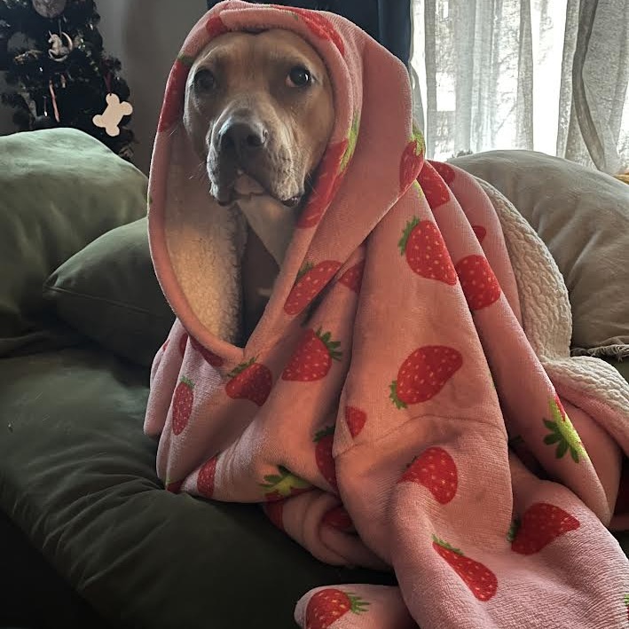 Nora — thumbnail 7