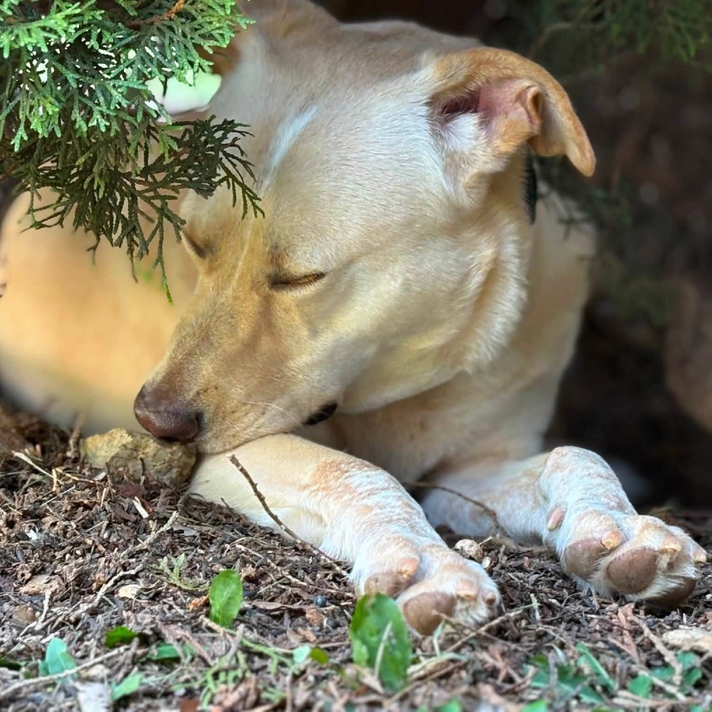 Butter, photo 36