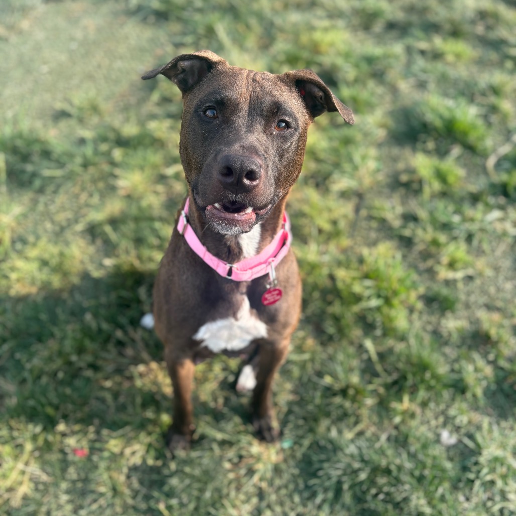 Mimi