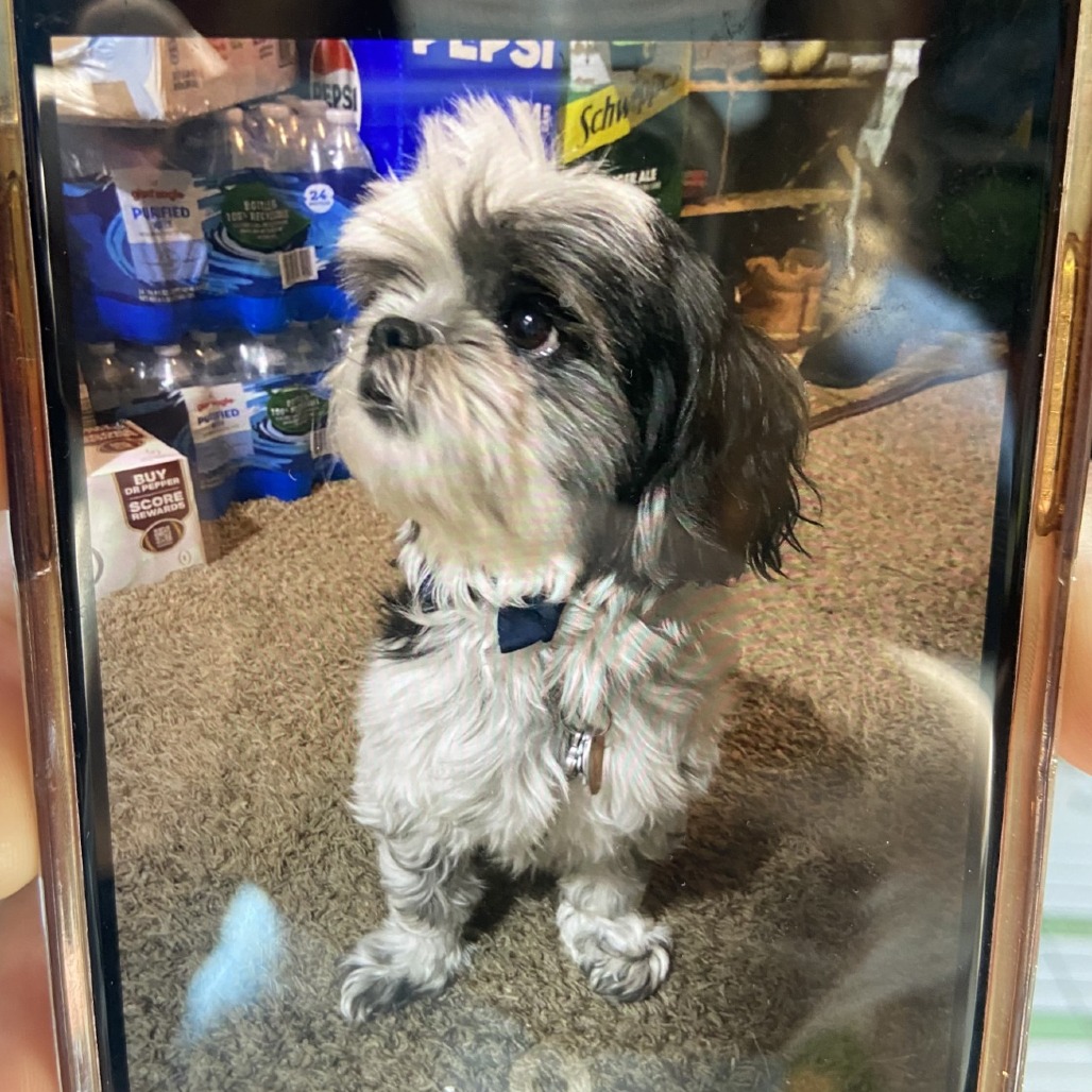 Photo of Echo