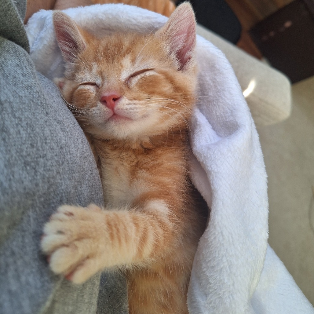 60899d482d60df7aa85177c3cfa474bf