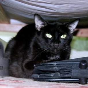 Candy Land — thumbnail 8