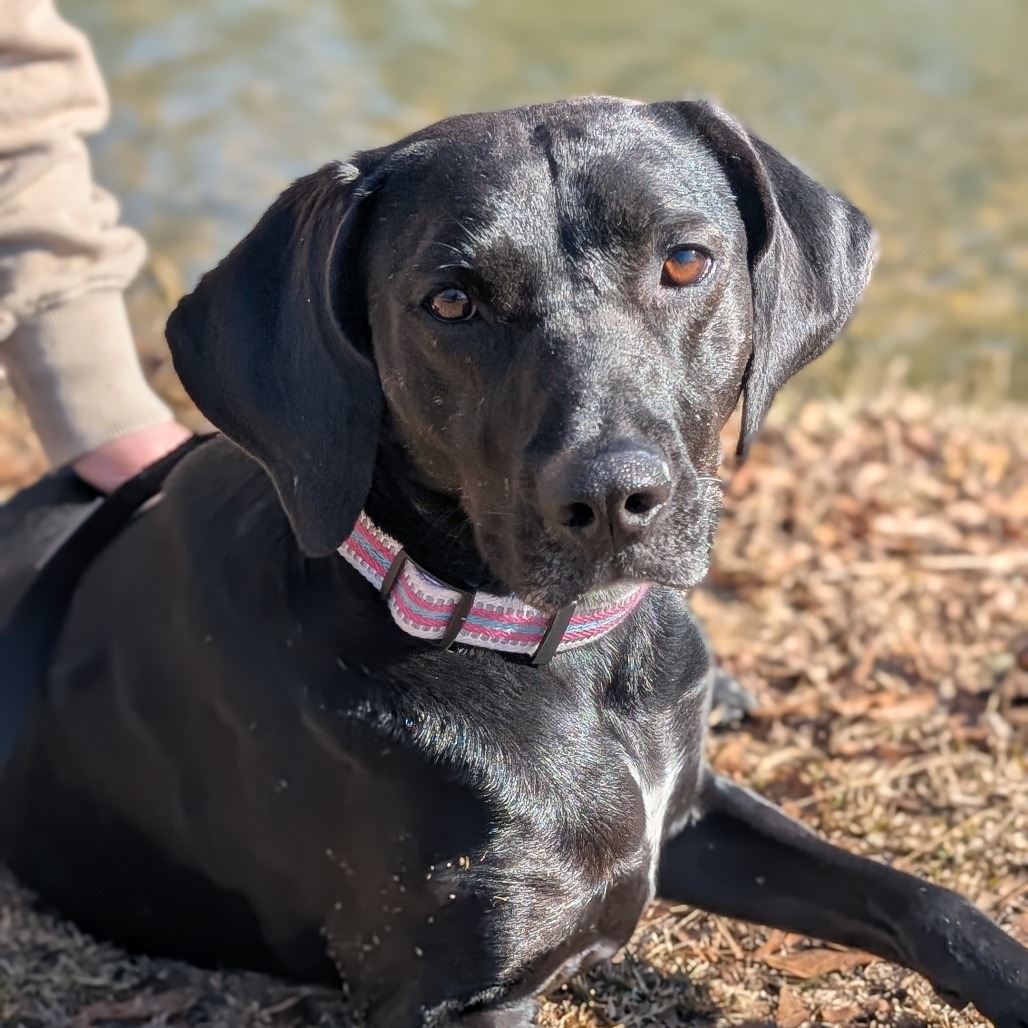 Phoebe 09-1747, photo 15