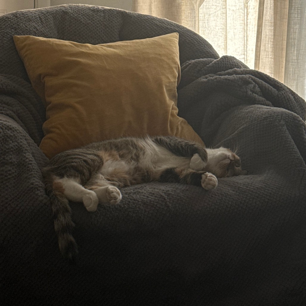 Nutmeg picture #17