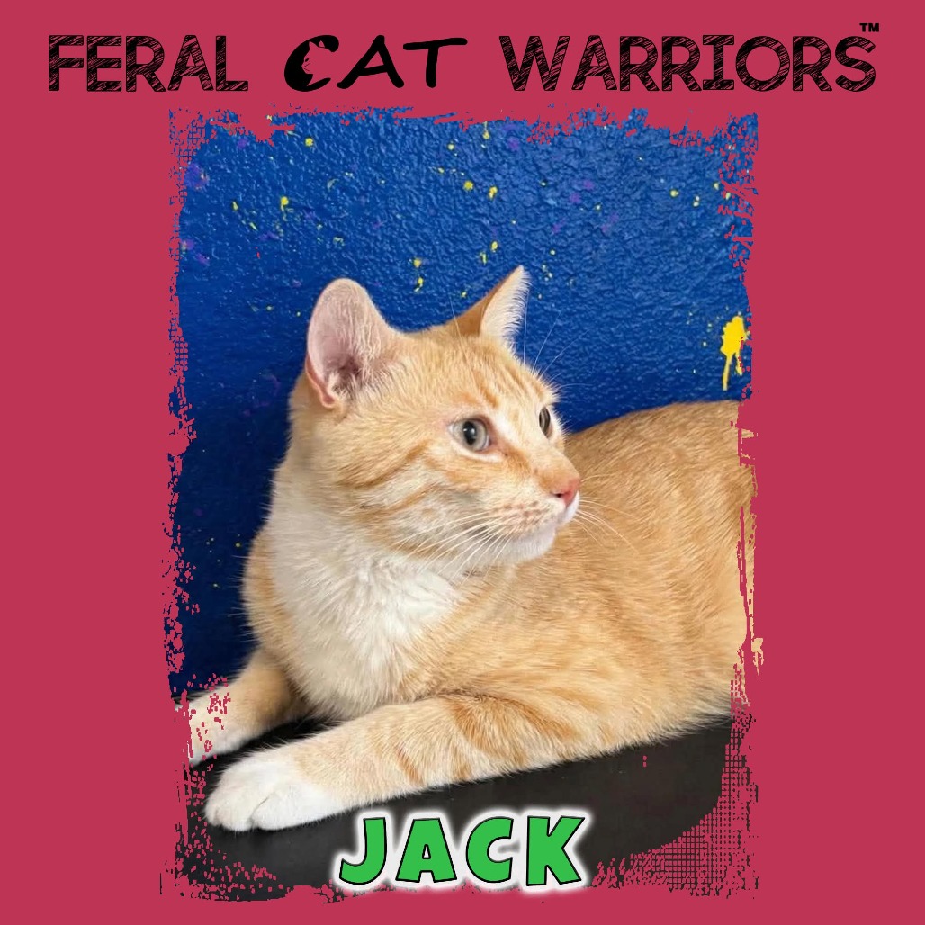Jack