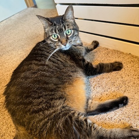 Presley--In Foster, photo 5