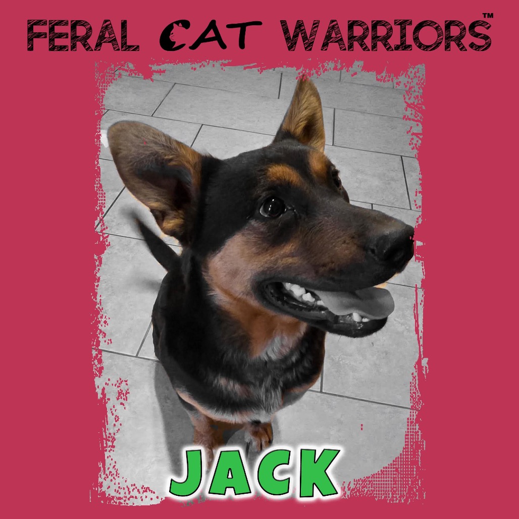 Jack