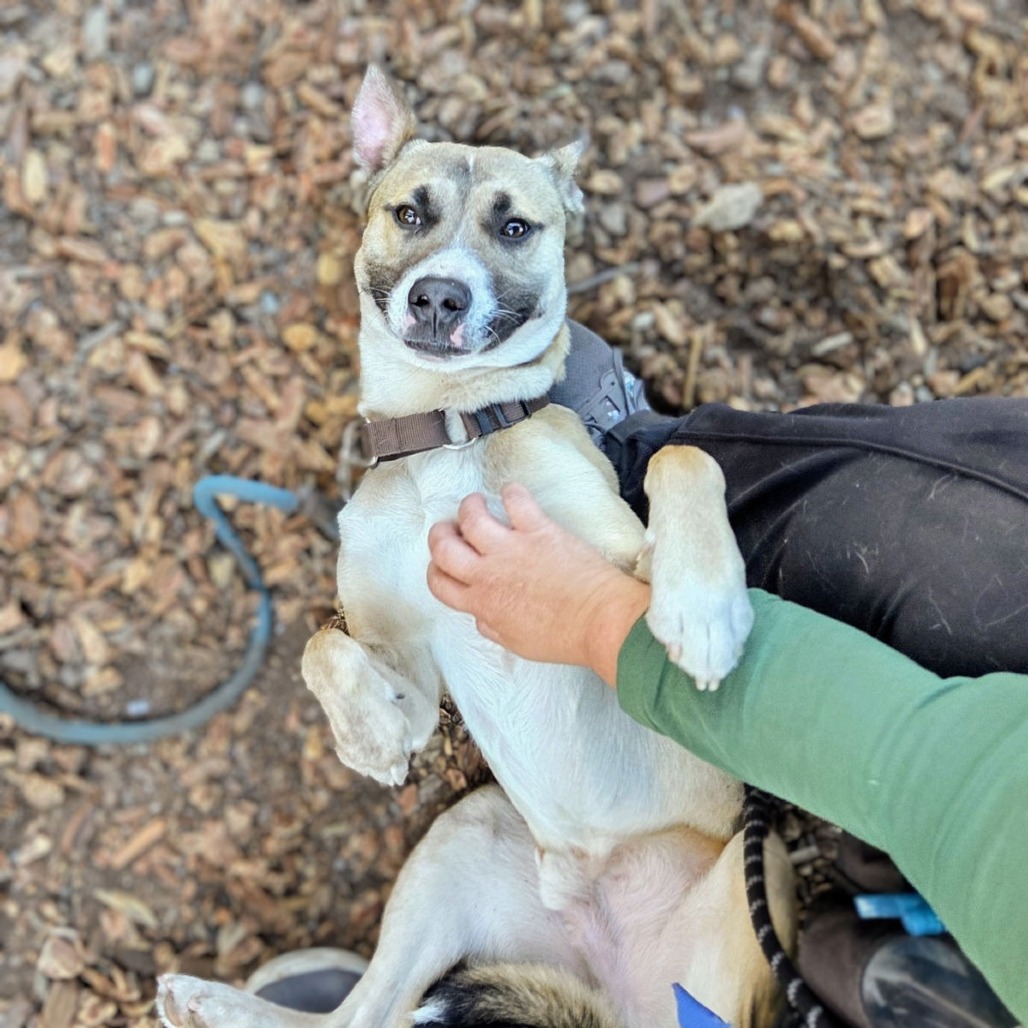 Payton — thumbnail 2