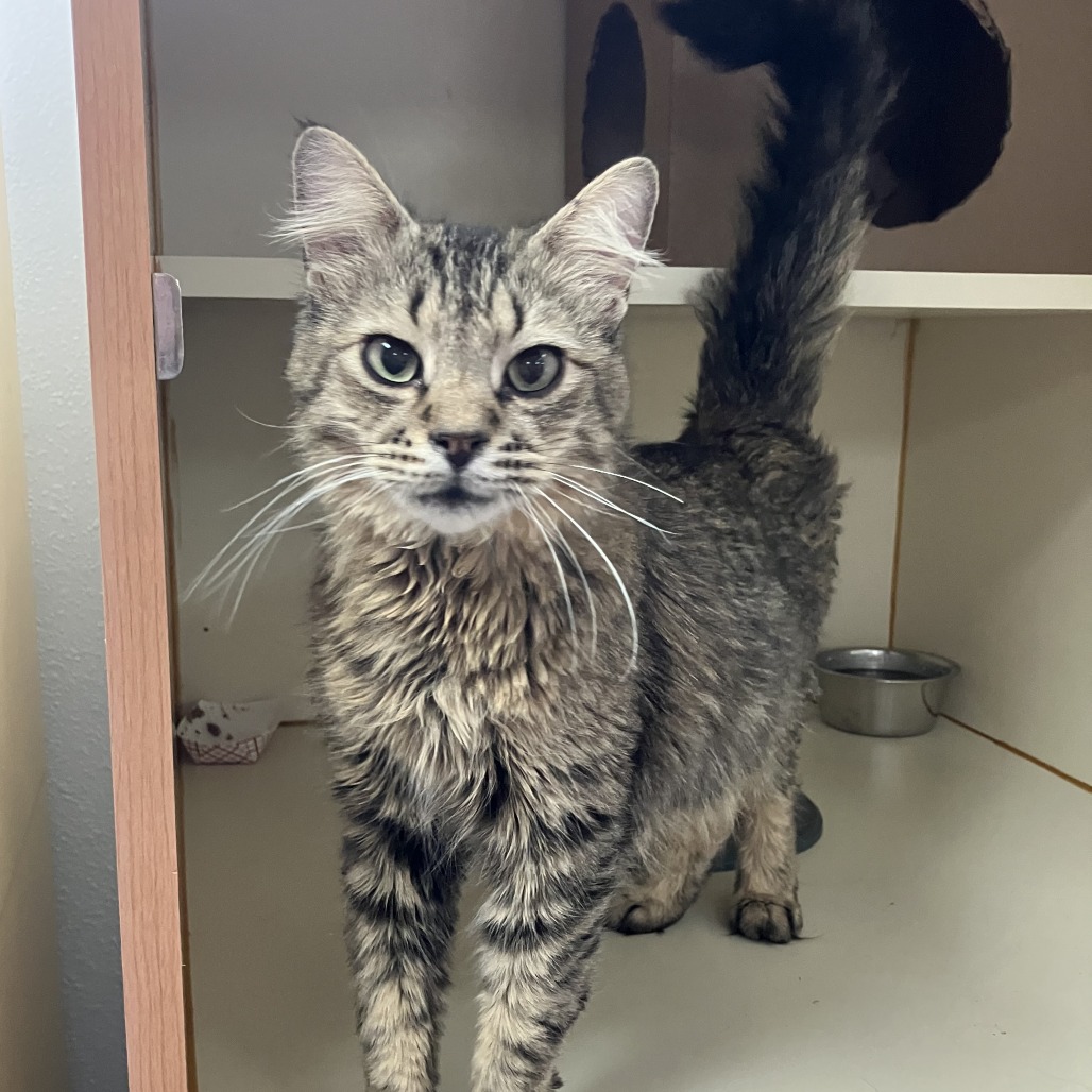 Pluto — thumbnail 5