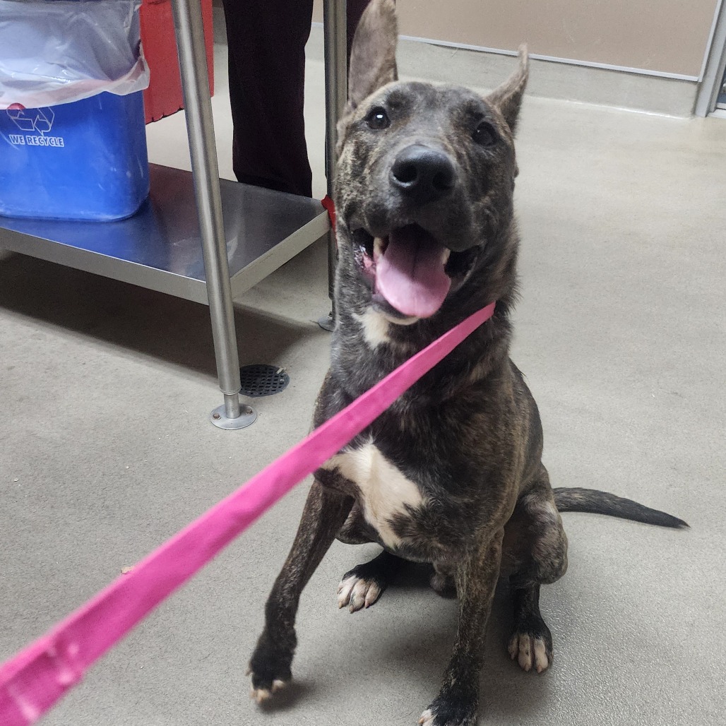 Kennel#23's preview photo