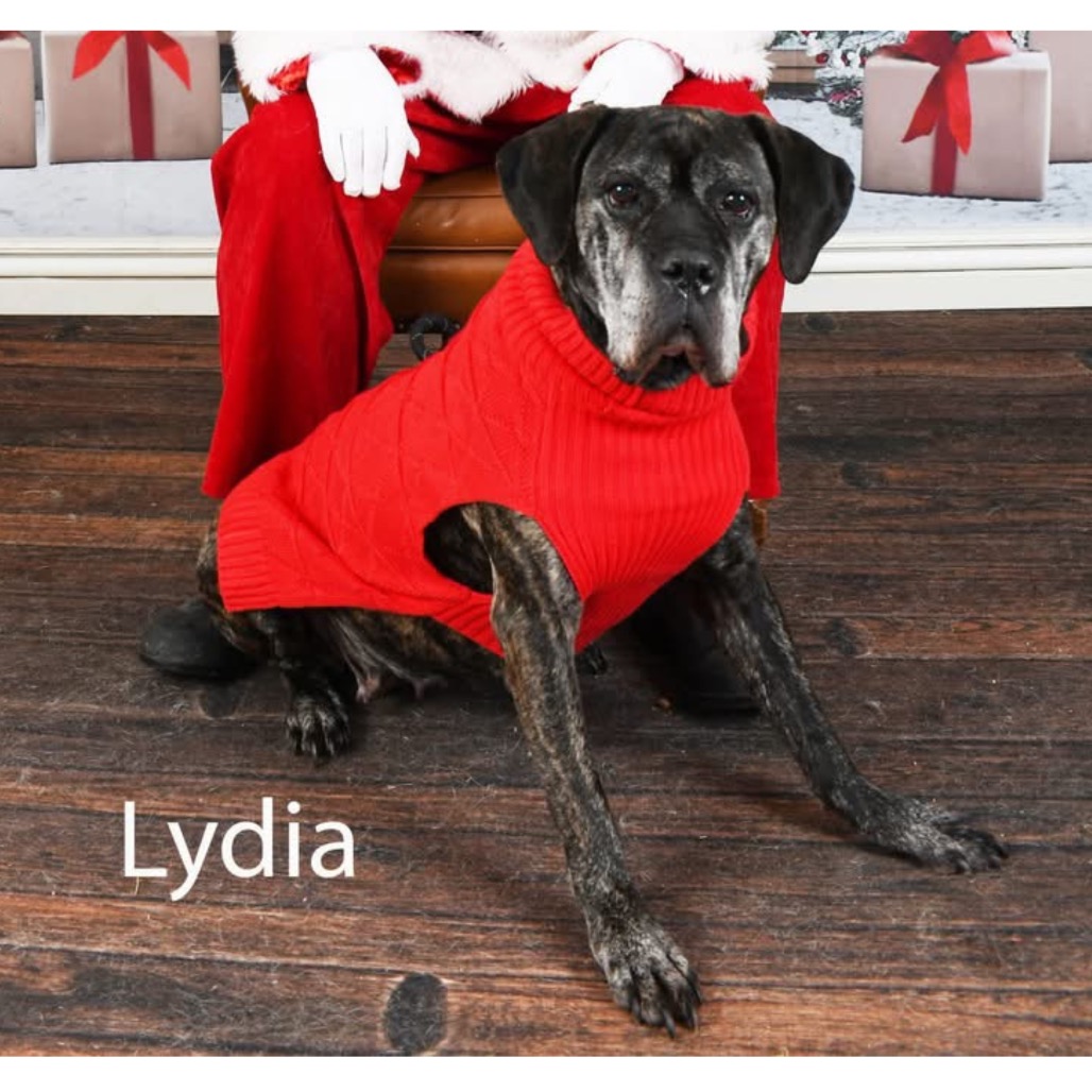 Lydia — thumbnail 5