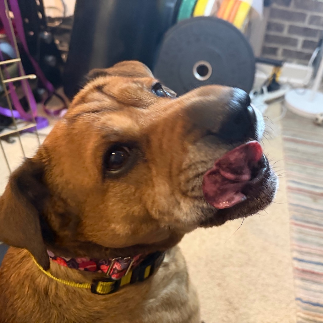 Zoey, photo 32