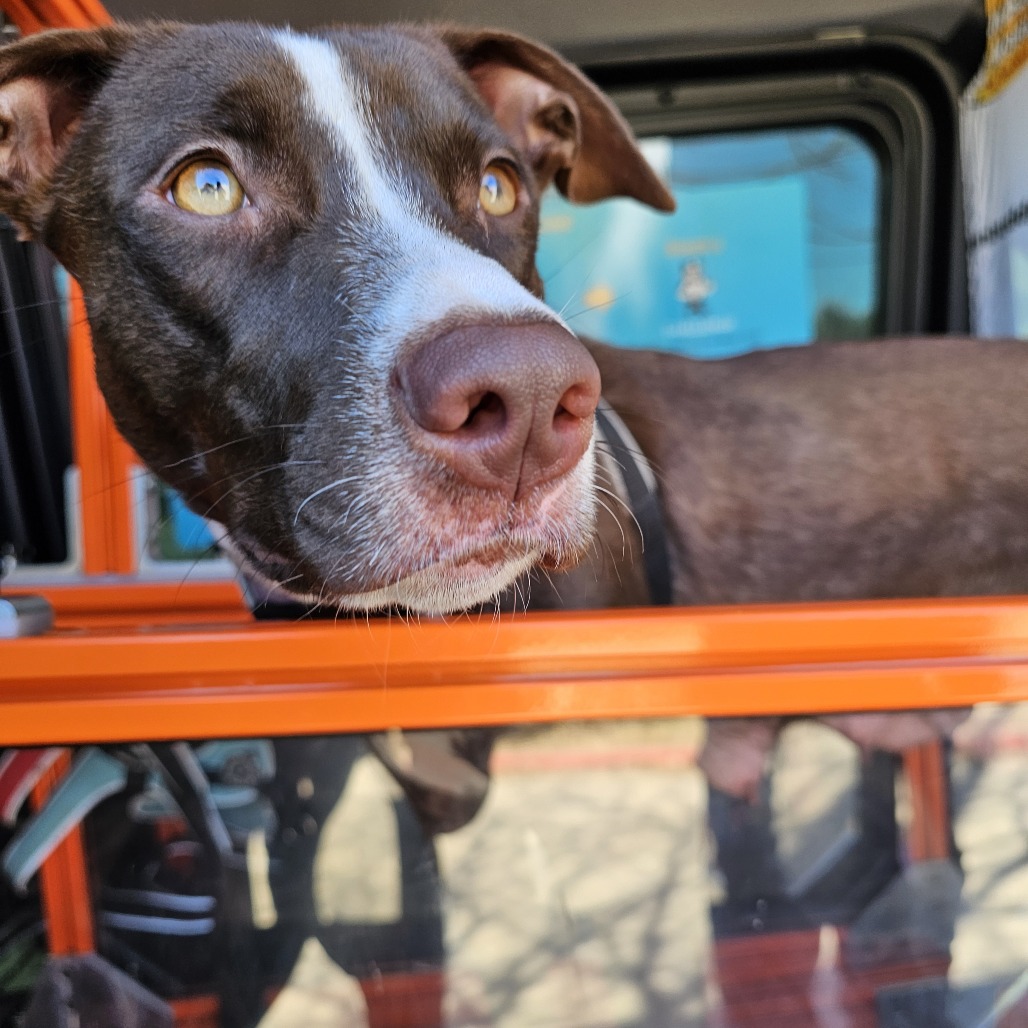 Sandy Seashore — thumbnail 5