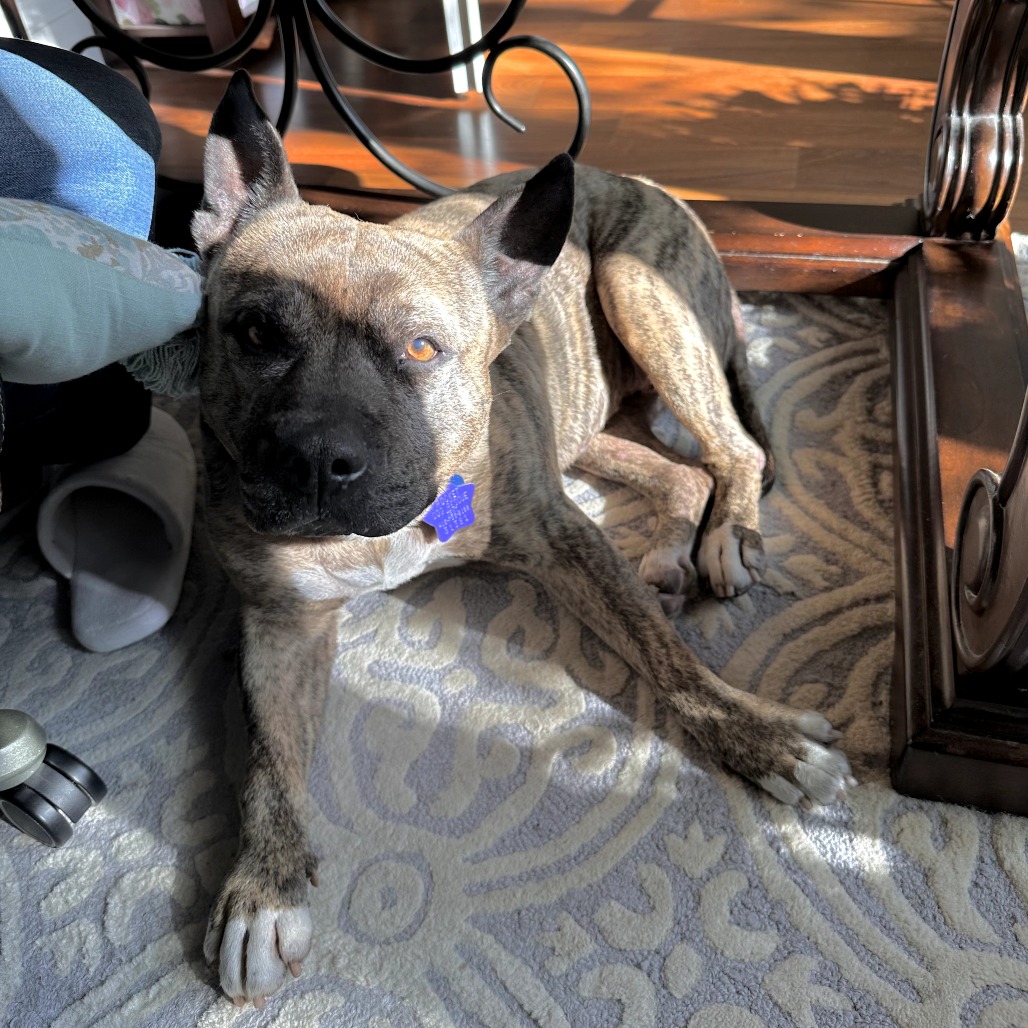 Mamas — thumbnail 4