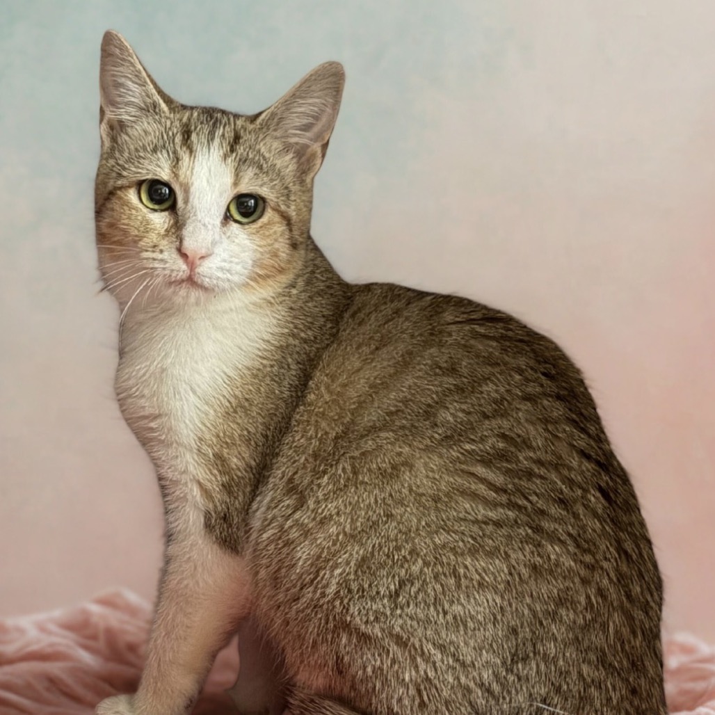 Elsa — thumbnail 2