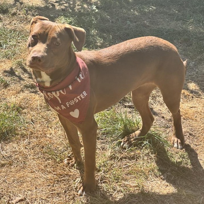 Photo of Starcraft 13