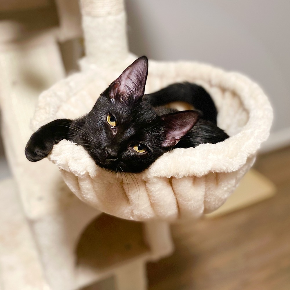 Billy — thumbnail 3