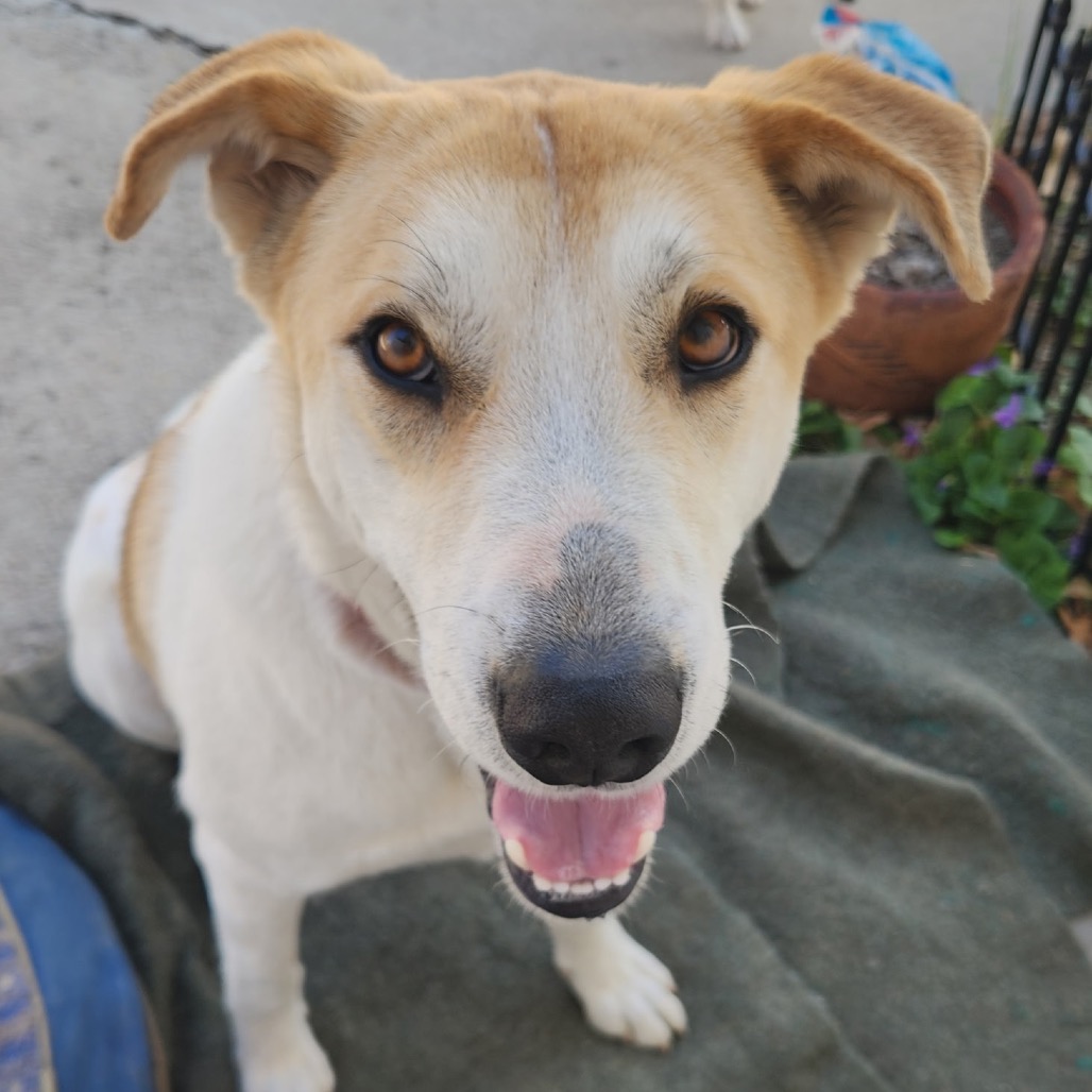 Colby (Courtesy Listing) — thumbnail 2