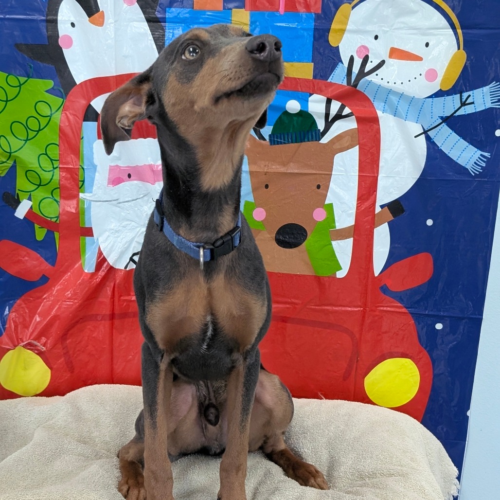 Luigi — thumbnail 5