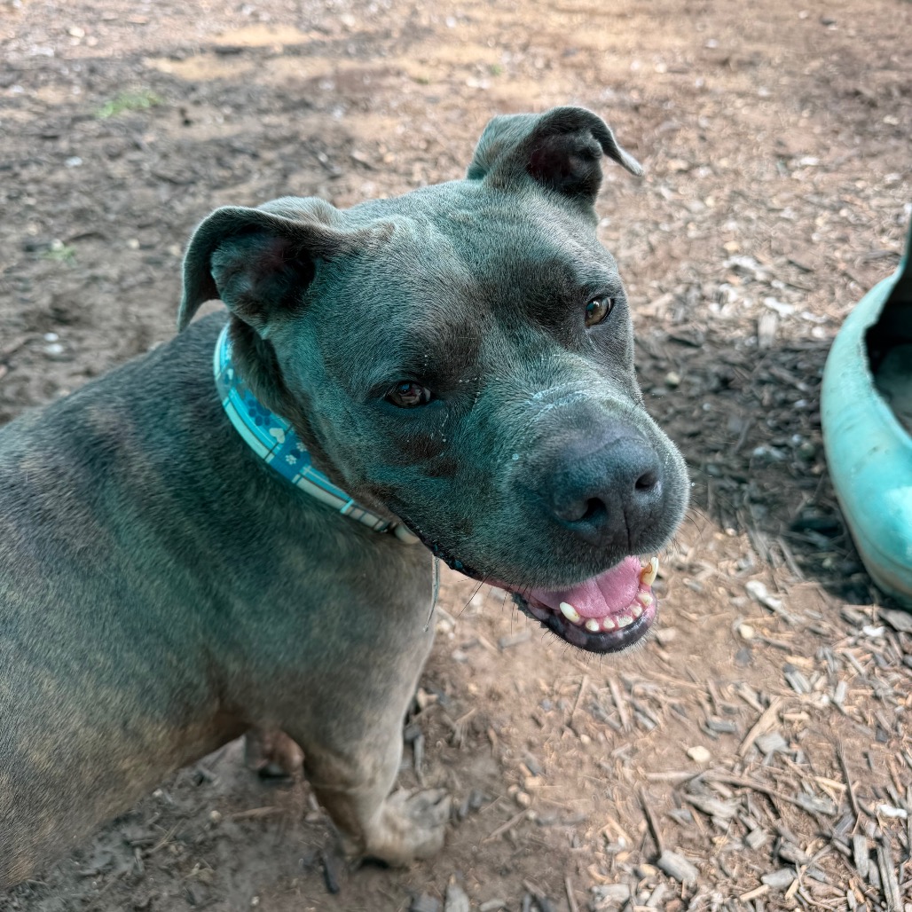 NALA BELL, photo 13