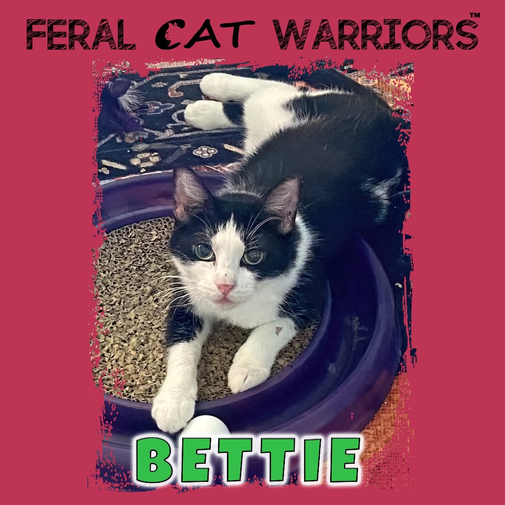 Bettie