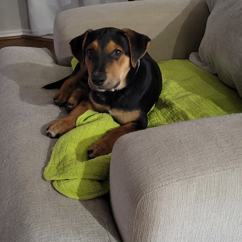 Frasier, photo 20