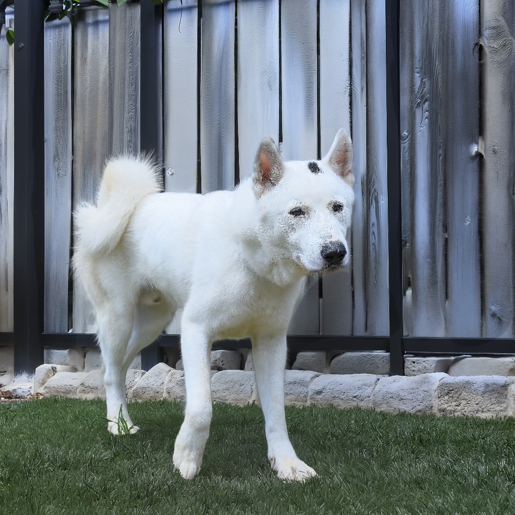Photo of Kodah