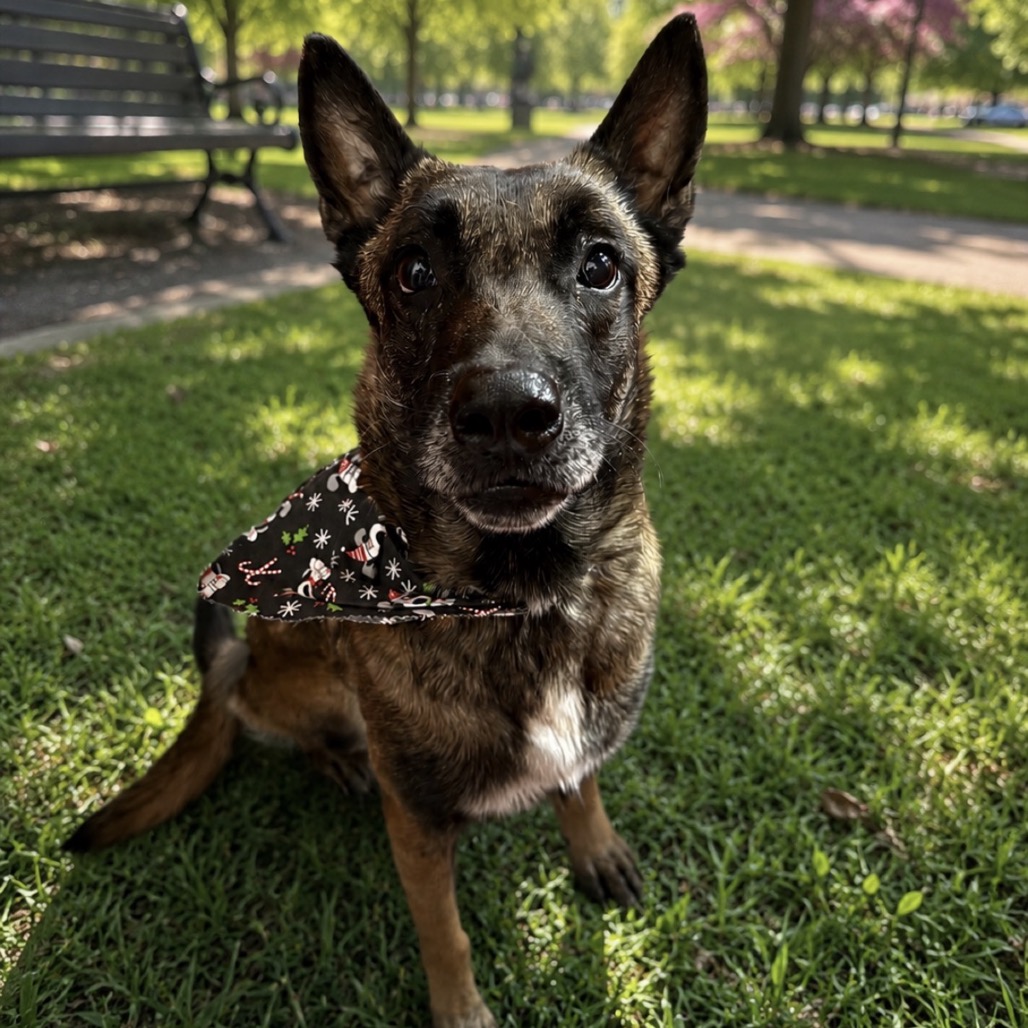 Max, photo 1 of 3