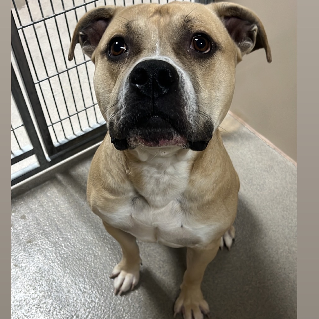 Kennel#8(Brut)'s preview photo