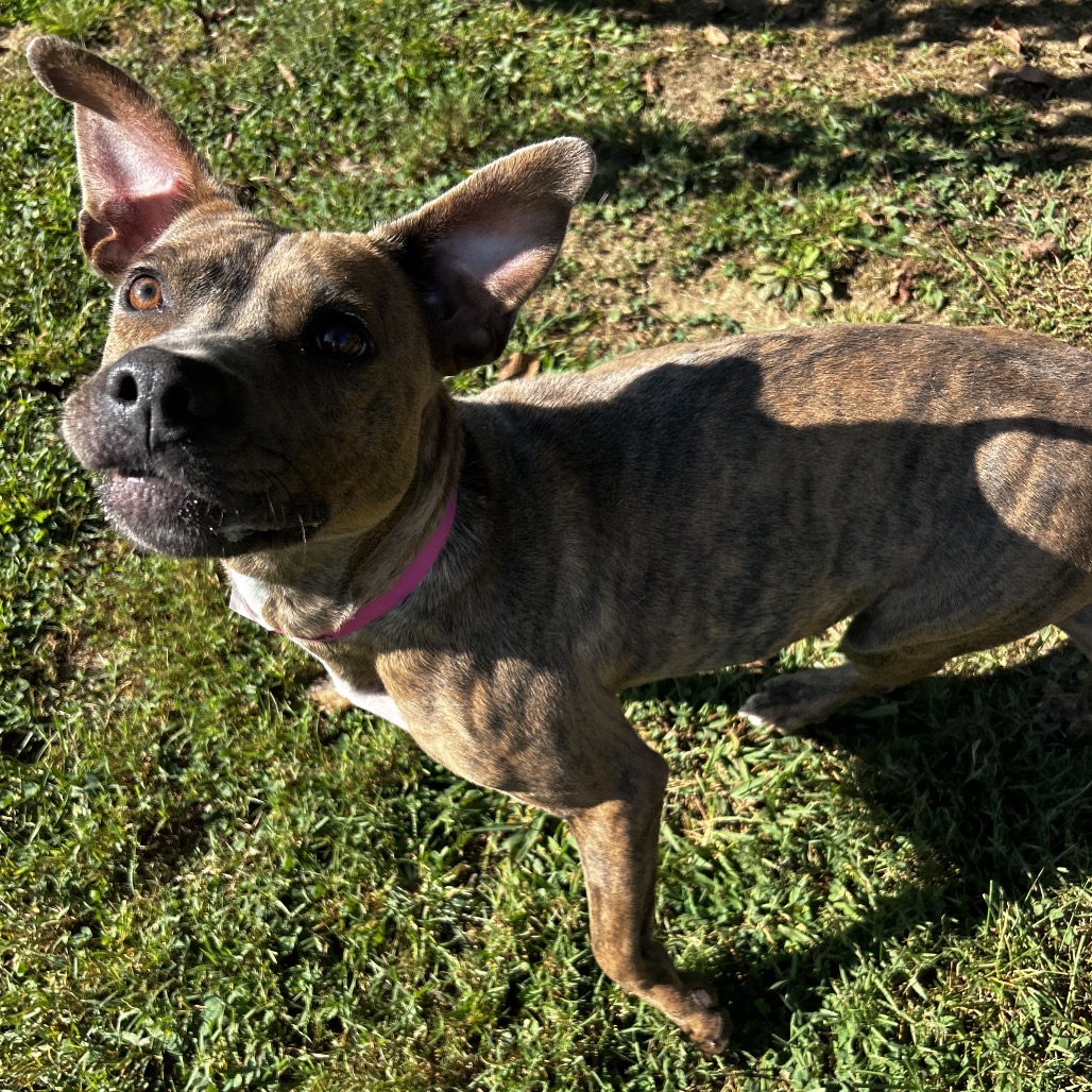 Ari — thumbnail 11