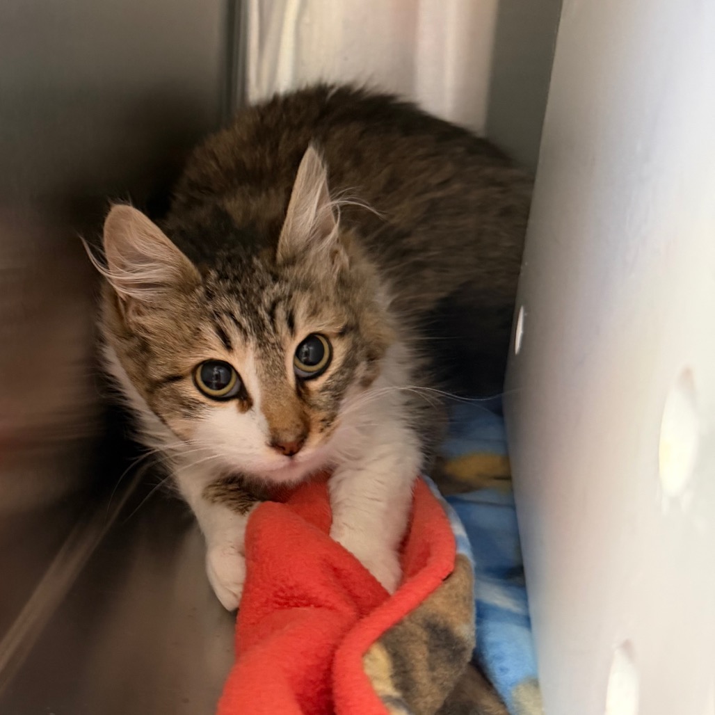 A#20's preview photo