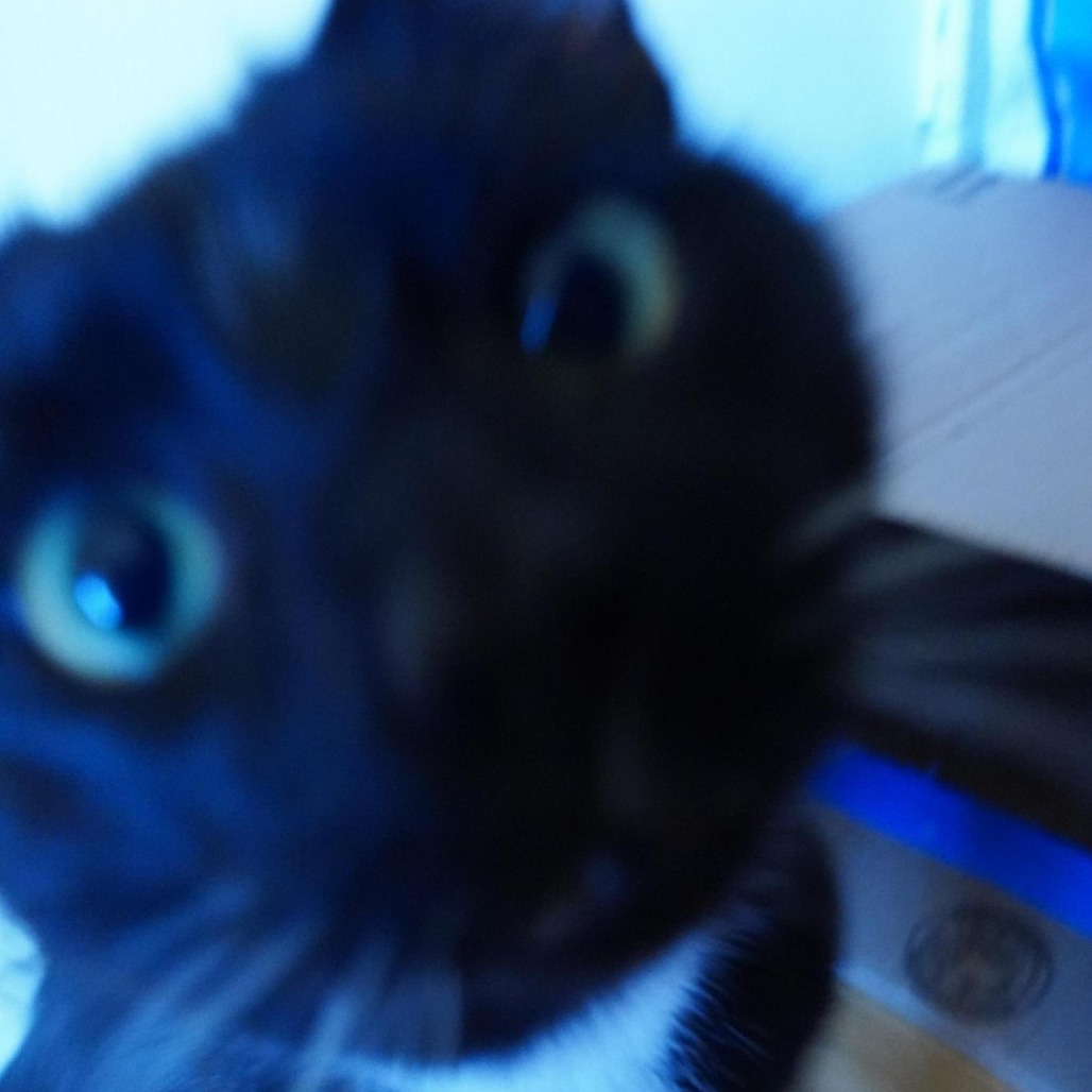 Toepher, photo 8