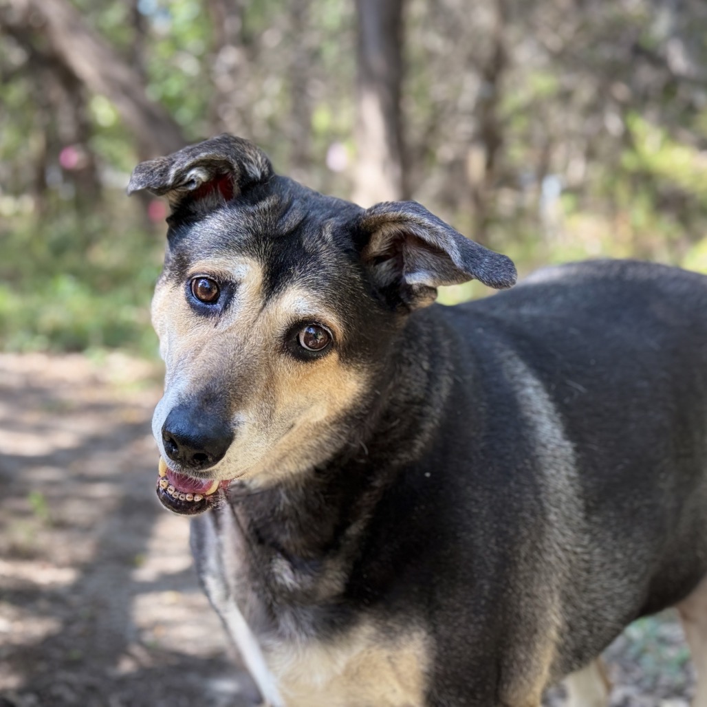 MADDY, photo 5