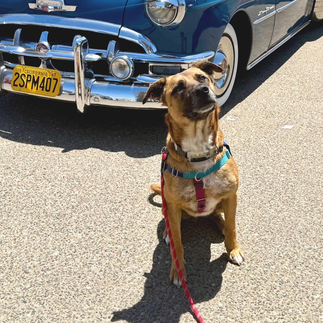 Bubz, photo 8