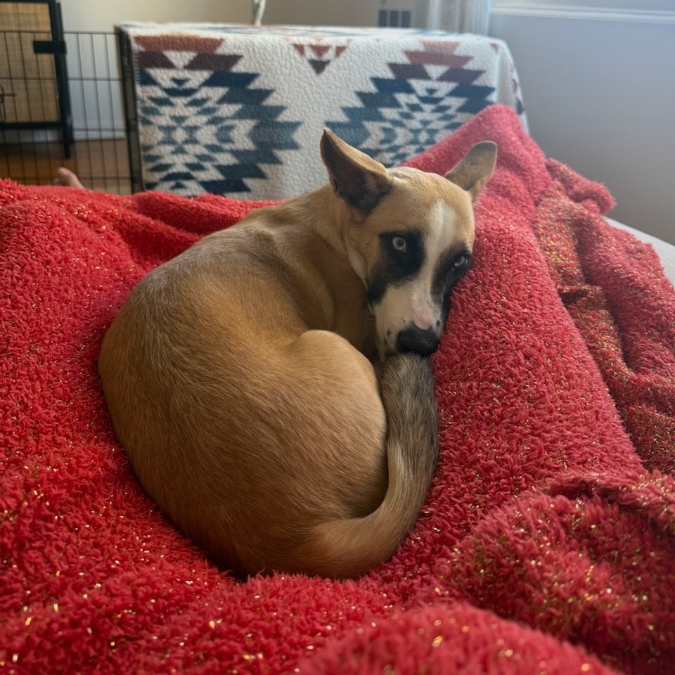 LILAH, photo 5