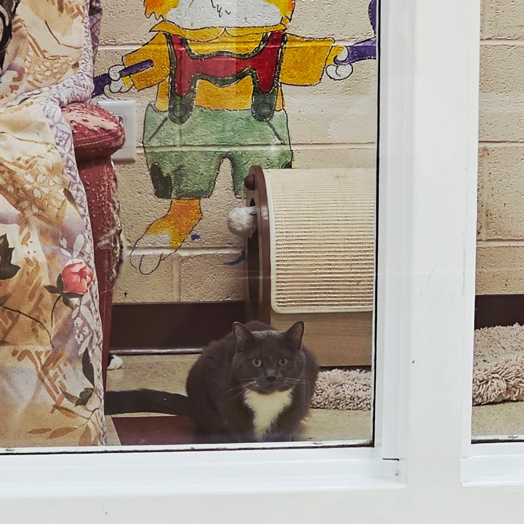 Jinxy