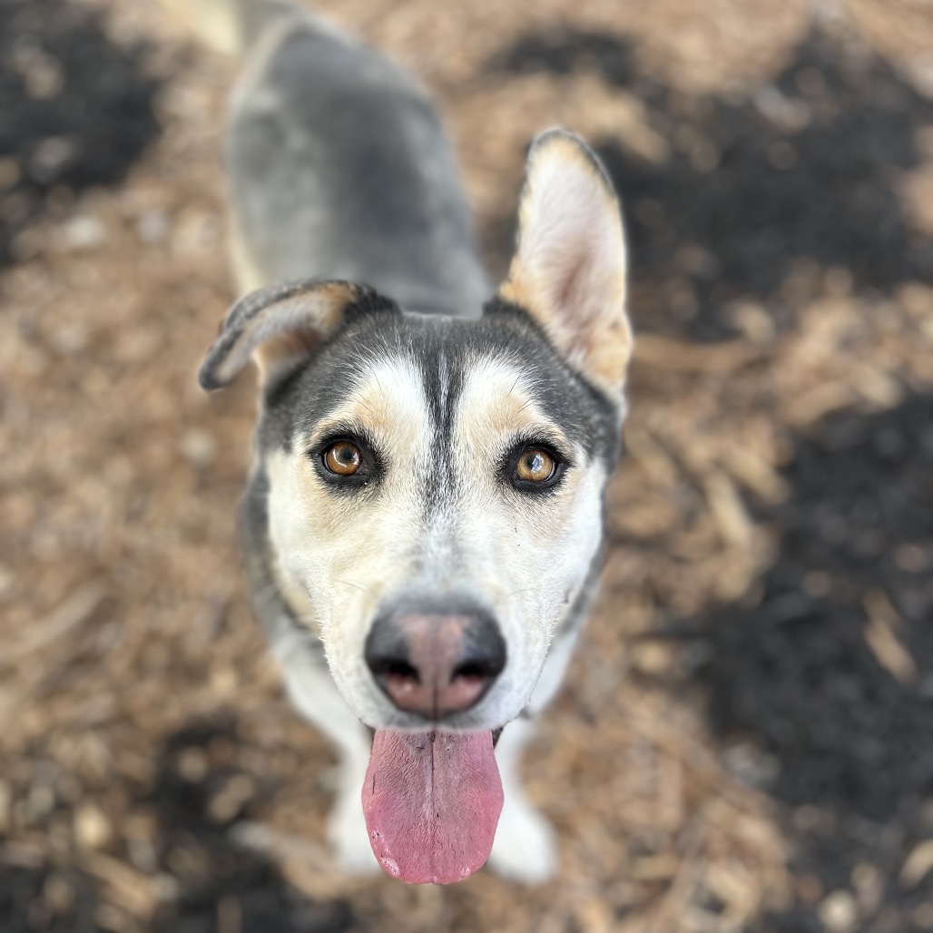 BINDI, photo 9
