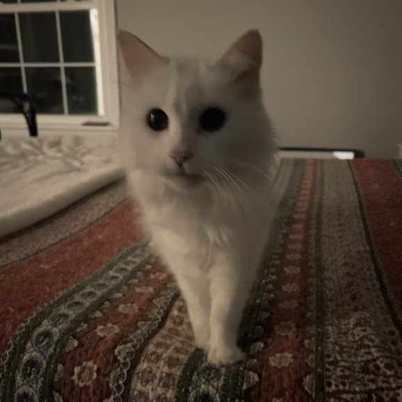 Snow White — thumbnail 5