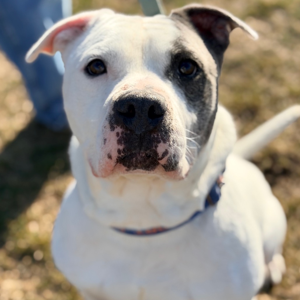 Fjord — thumbnail 5