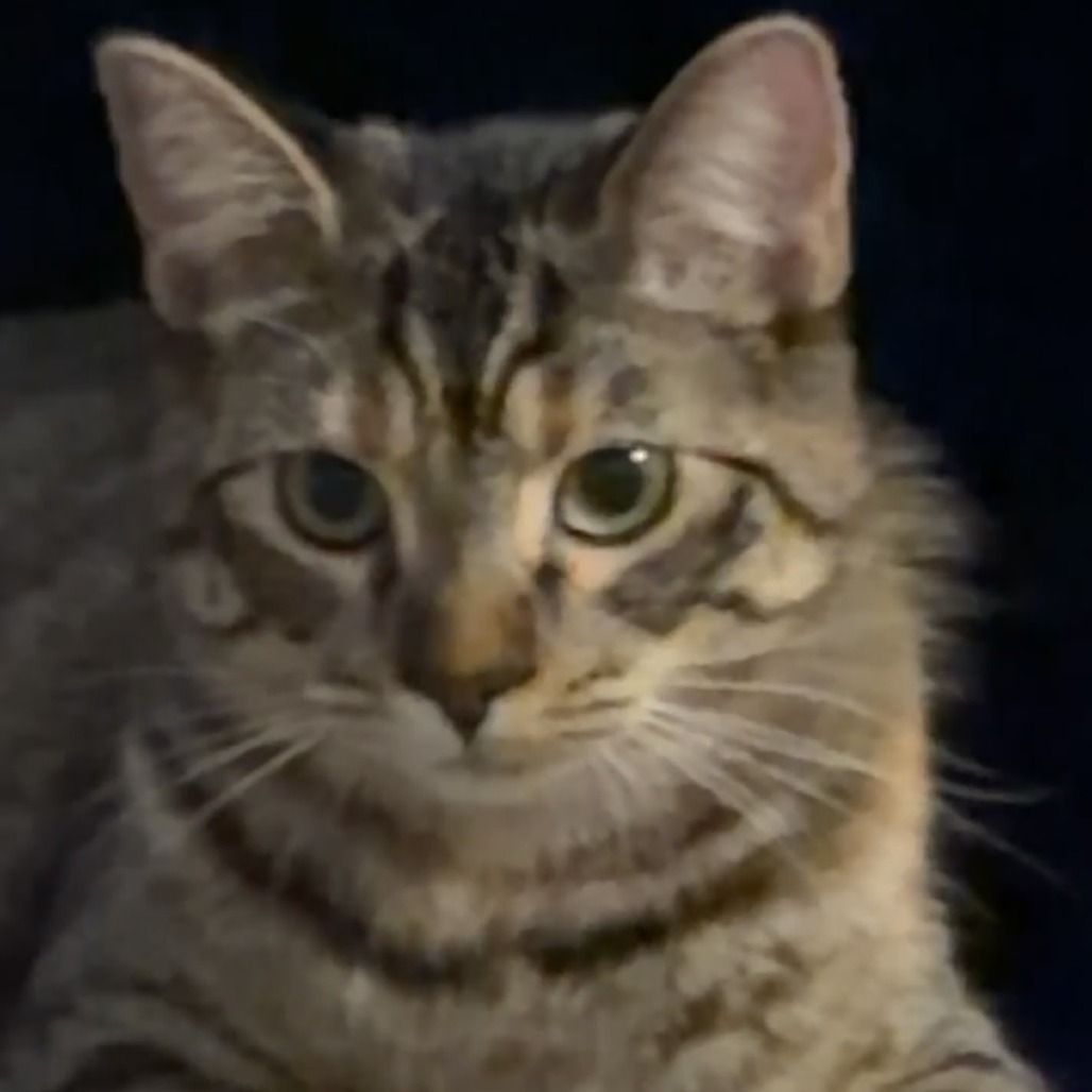 Louise, photo 19