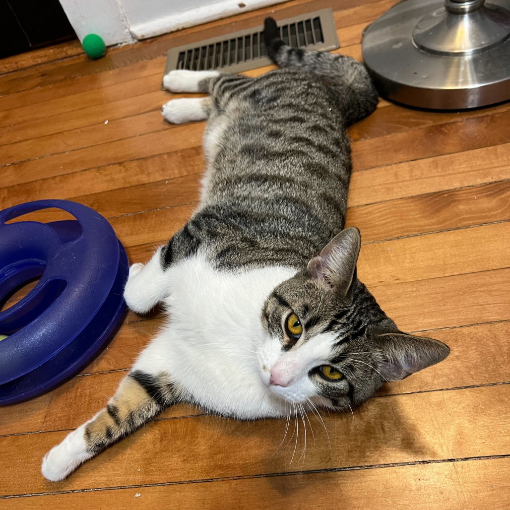 Burt (c2026), photo 3