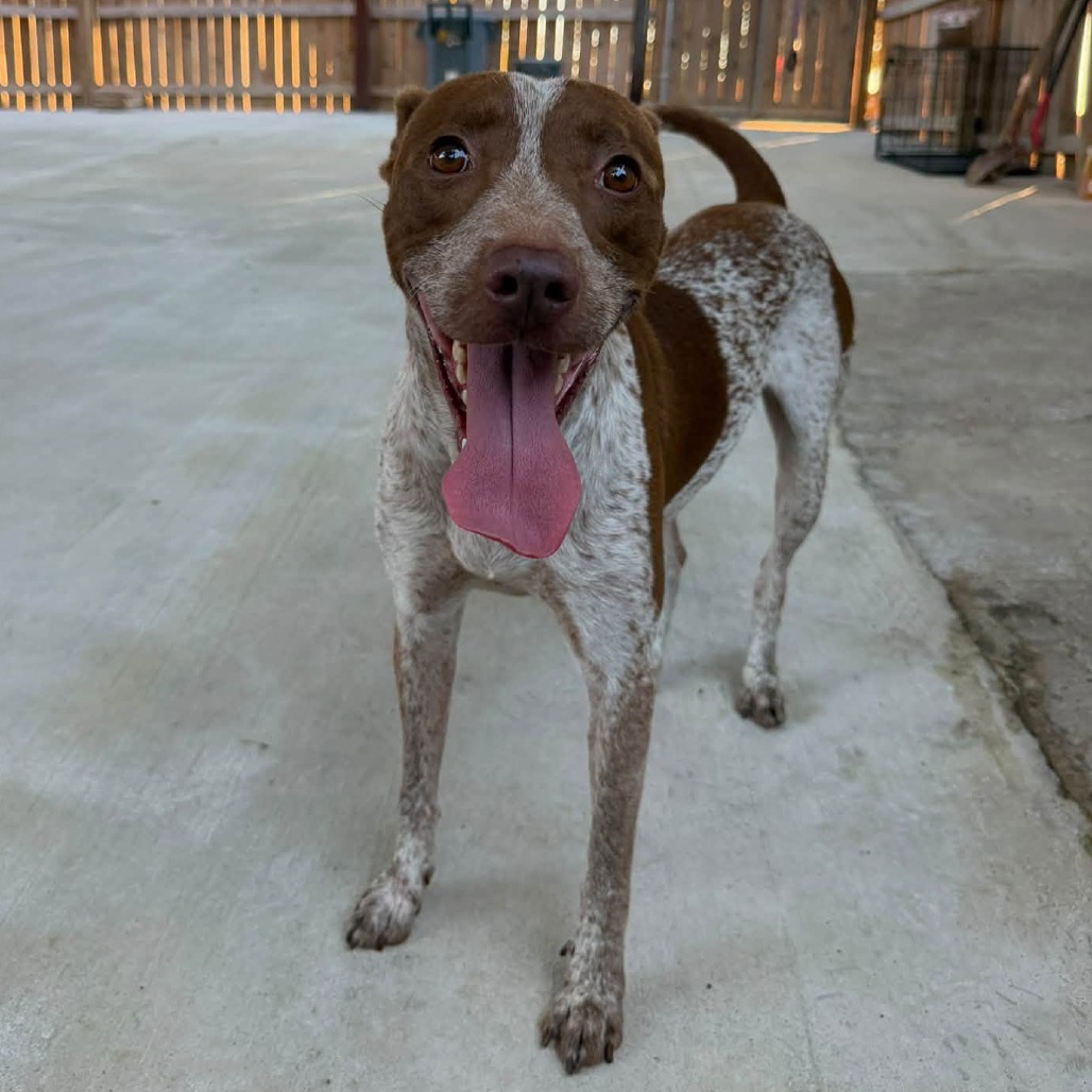 Photo of Rudy
