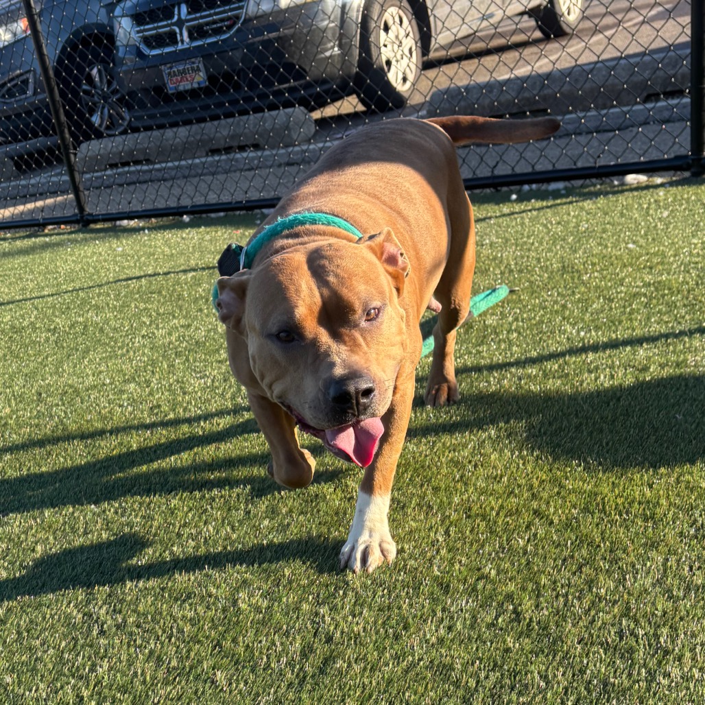 Nickel — thumbnail 5