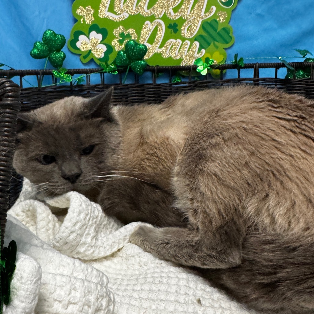 Clint Barton — thumbnail 2