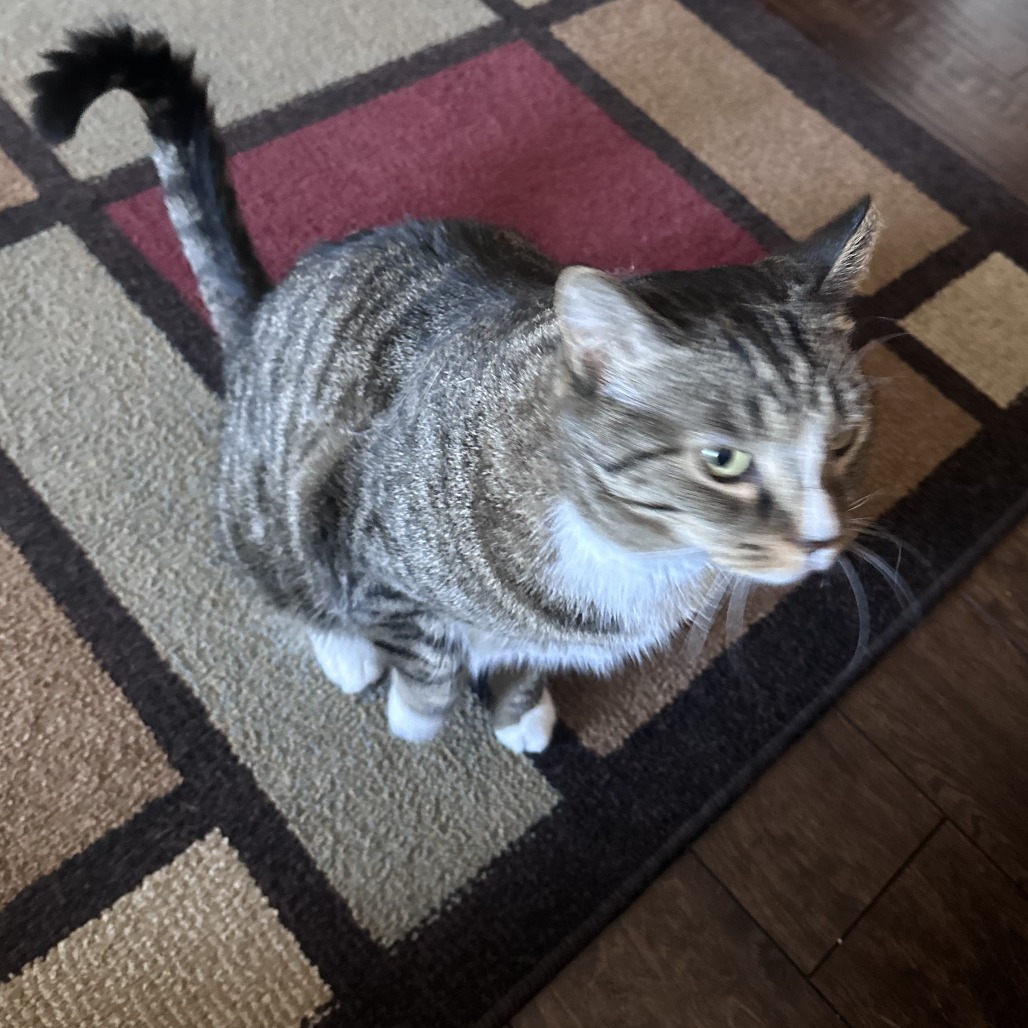Charlie, photo 2