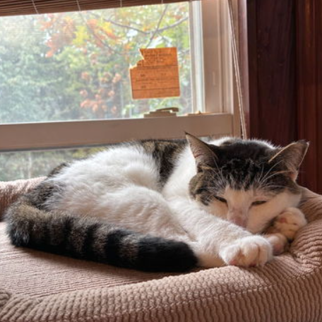 Lucy, photo 12
