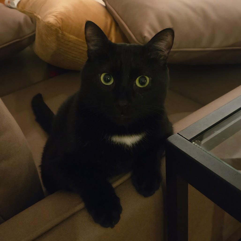 Winnie — thumbnail 4