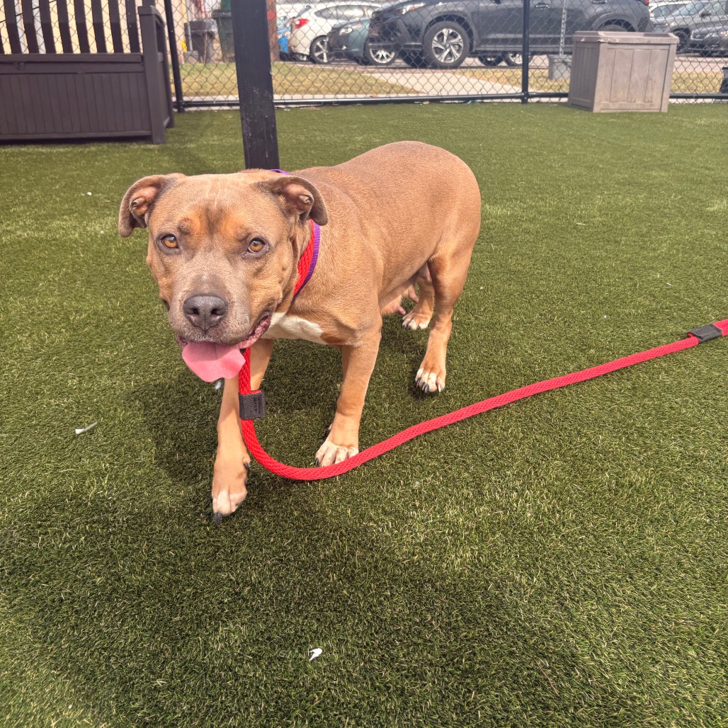 Marsadie — thumbnail 3