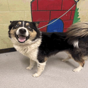 Tribeca — thumbnail 2