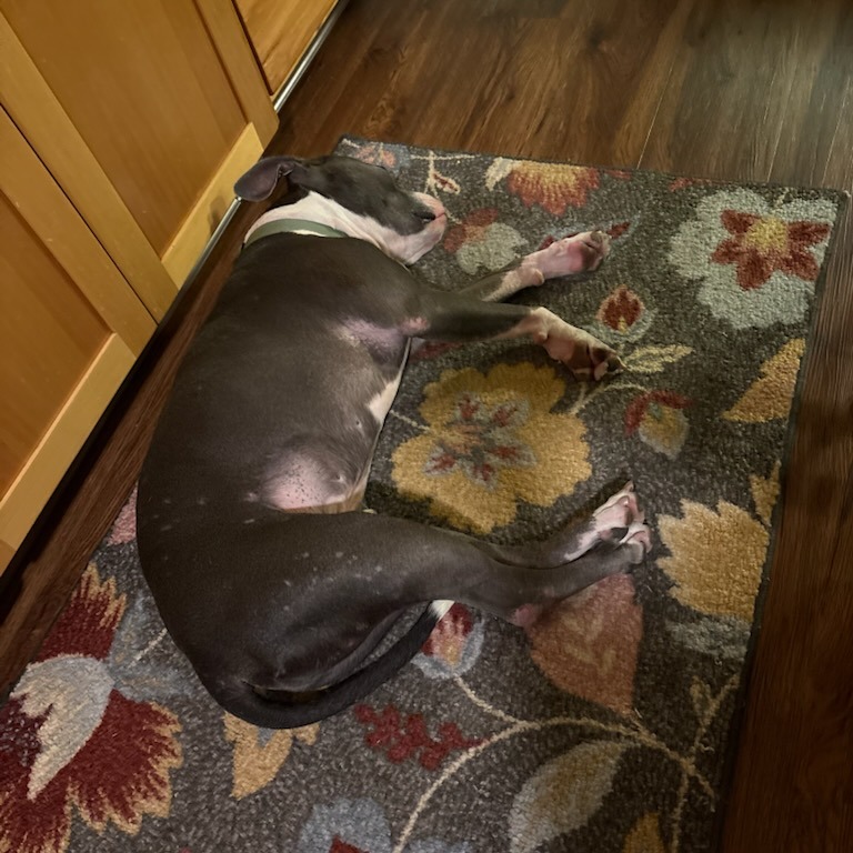 Sherman--In Foster, photo 6
